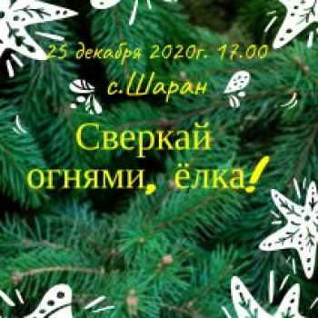 Приглашаем на главный праздник, открытие новогодней елки «Сверкай огнями, ёлка!»